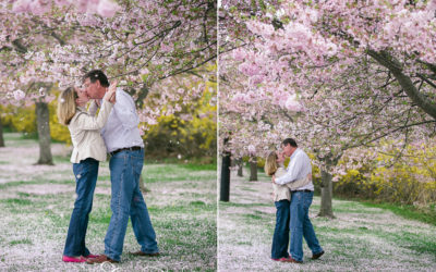 Newport Engagement . Daffodils . Cherry Blossoms . Serendipity